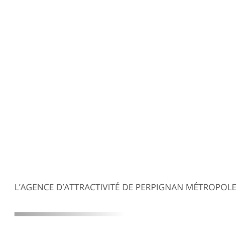 French Tech Train
